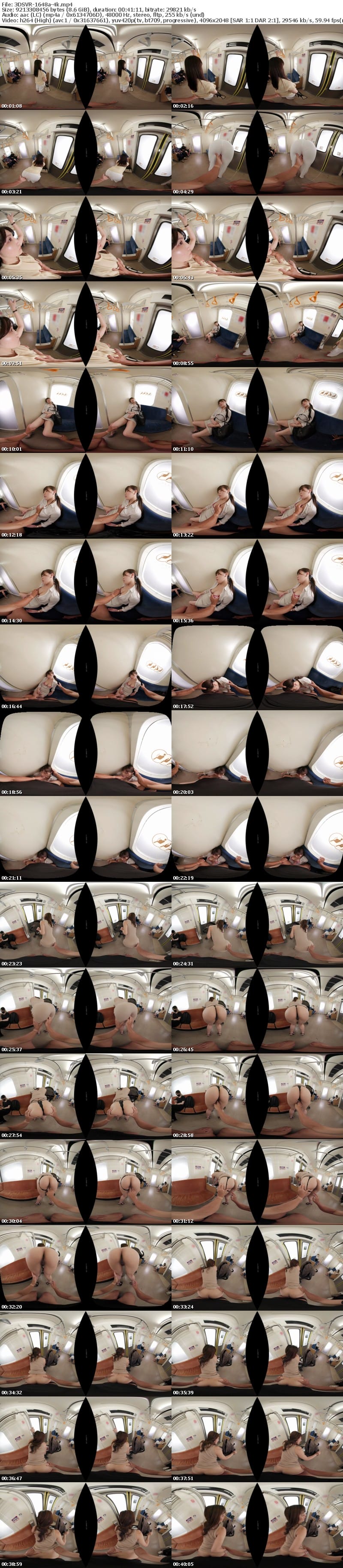 3DSVR-1648 【VR】【8K】セックスが溶け込んでいる日常「常に性交」ヤリ放題痴●電車