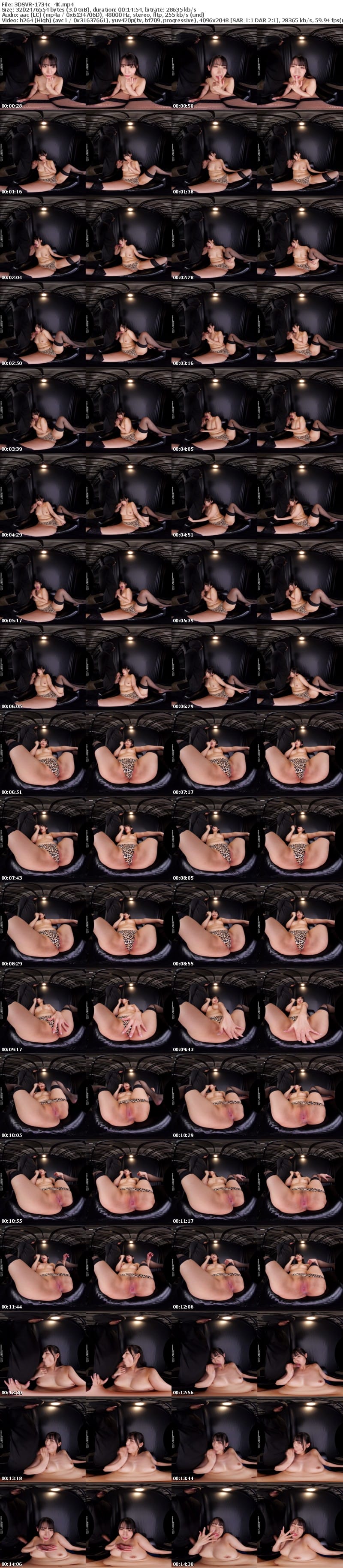 3DSVR-1734 【VR】【8K】ハイパー卑猥アングル 肉厚プリ膣＆デカ尻＆結合部フェチ淫乱ポーズSPECIAL！！！ 宇流木さらら